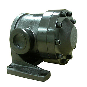 Bơm cánh gạt