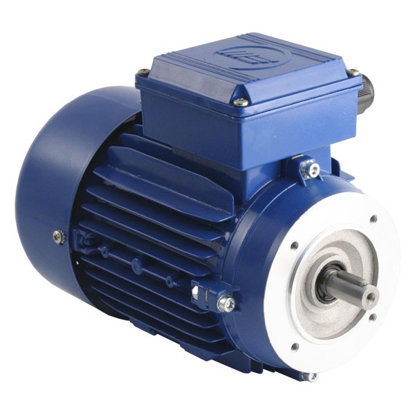 Motor điện mặt bích